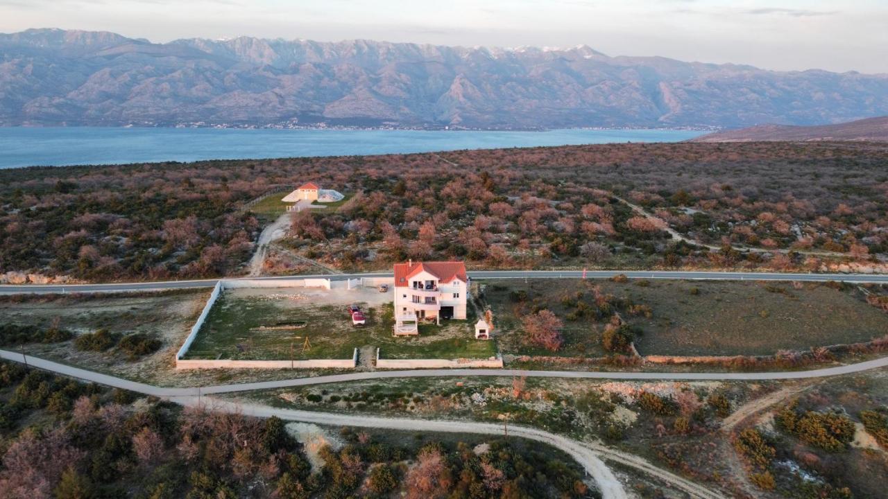 Niko * Zadar